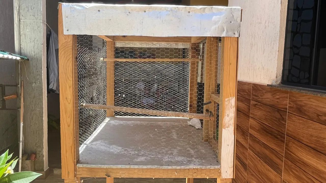 VIVEIRO PARA PÁSSAROS  - Foto 4