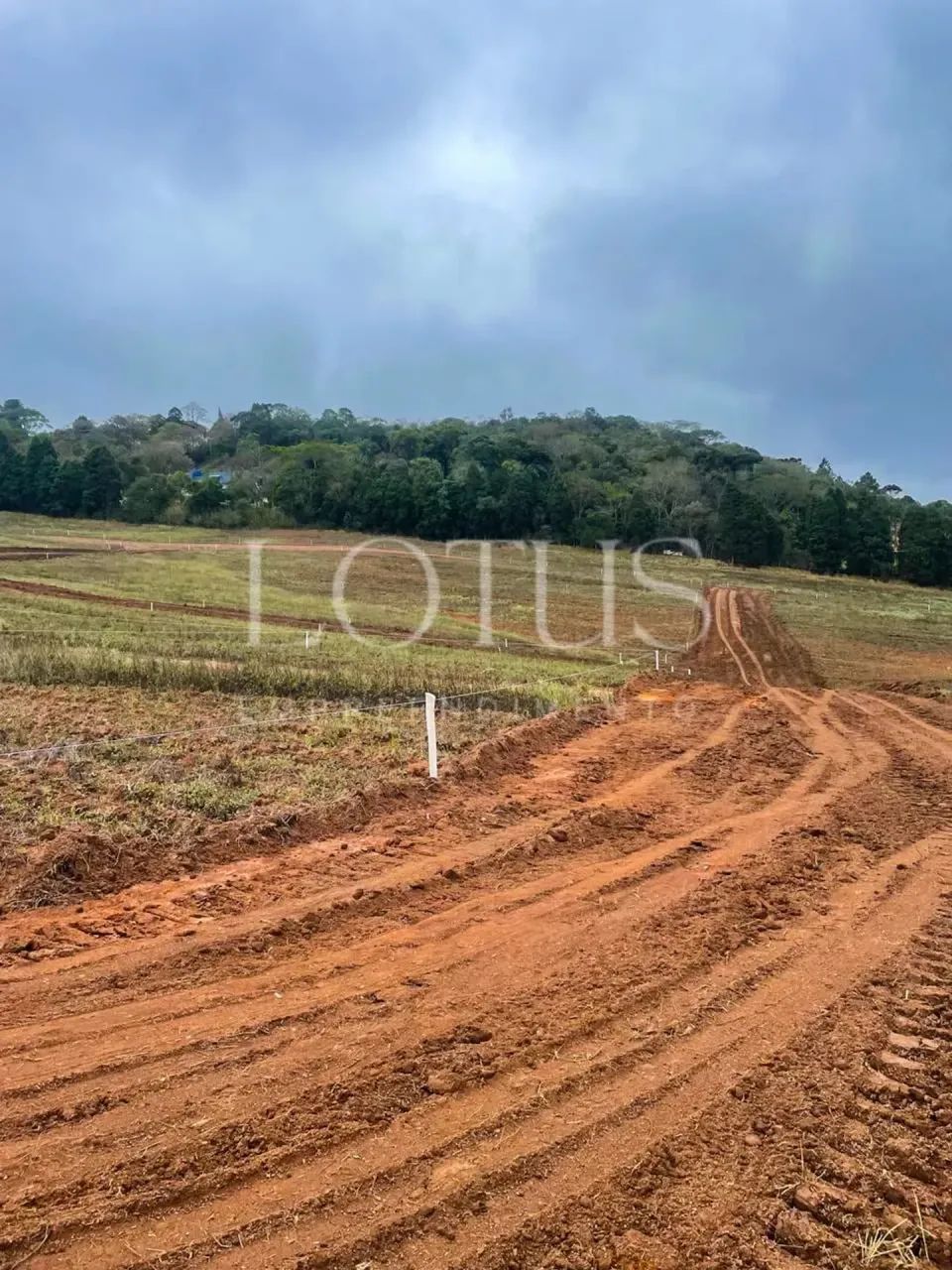 Imóvel para venda possui 500 metros quadrados em Tijuco Preto(Caucaia do Alto) - Cotia - S - Foto 6