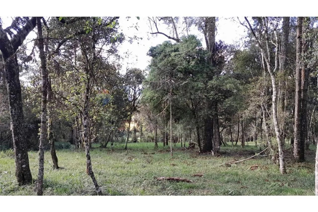Terreno no Centro de Bom Retiro - Imperdível! - Foto 2