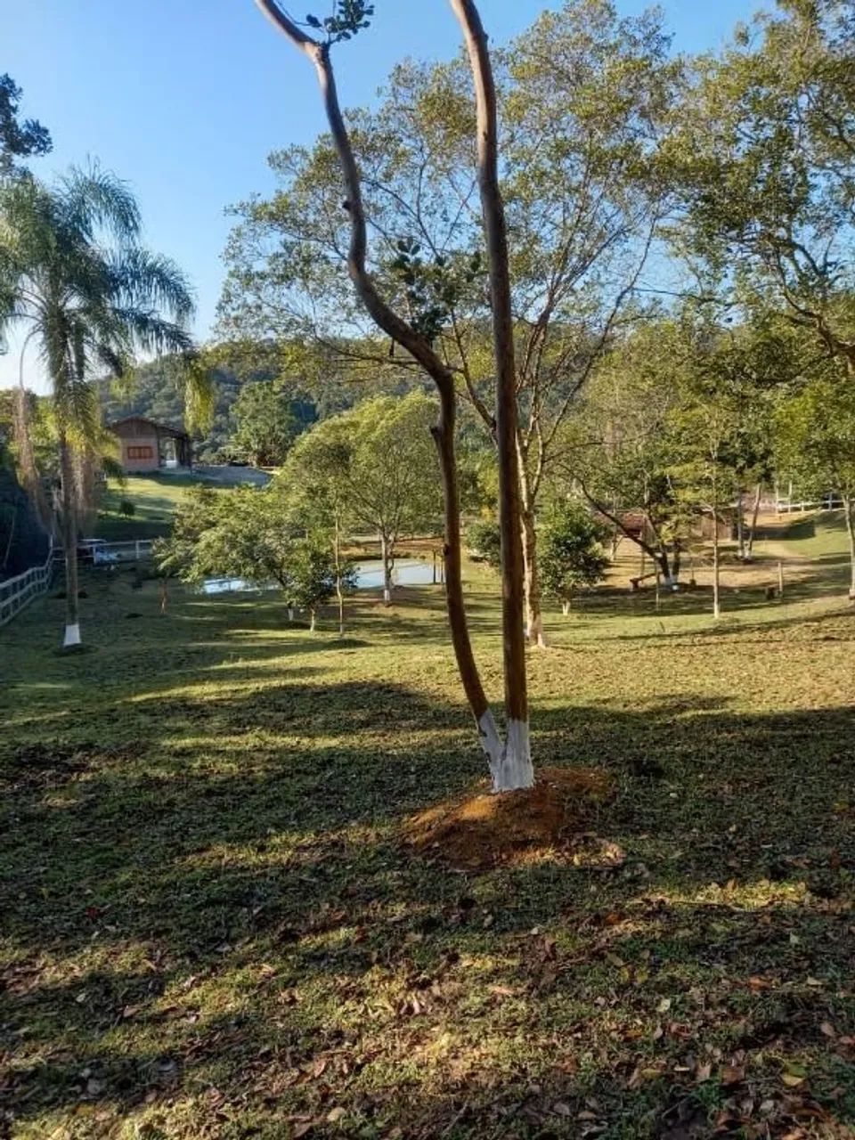 Sítio à venda, 3 m² por R$ 700.000 - São Sebastião - Palhoça/SC - Foto 2