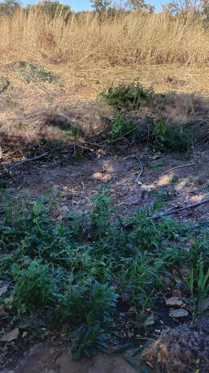 Vendo Terreno quitado e bem localizado em Natividade-TO - Foto 2