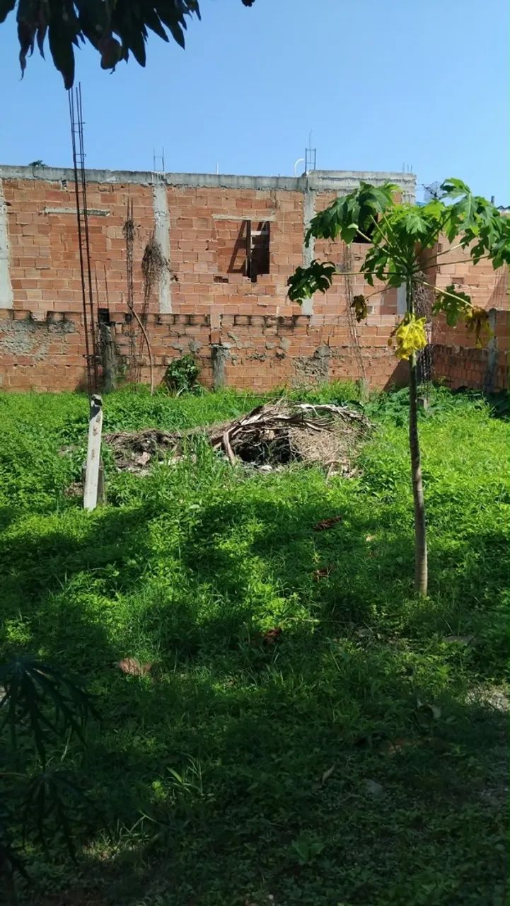Terreno 60 mil  - Foto 3