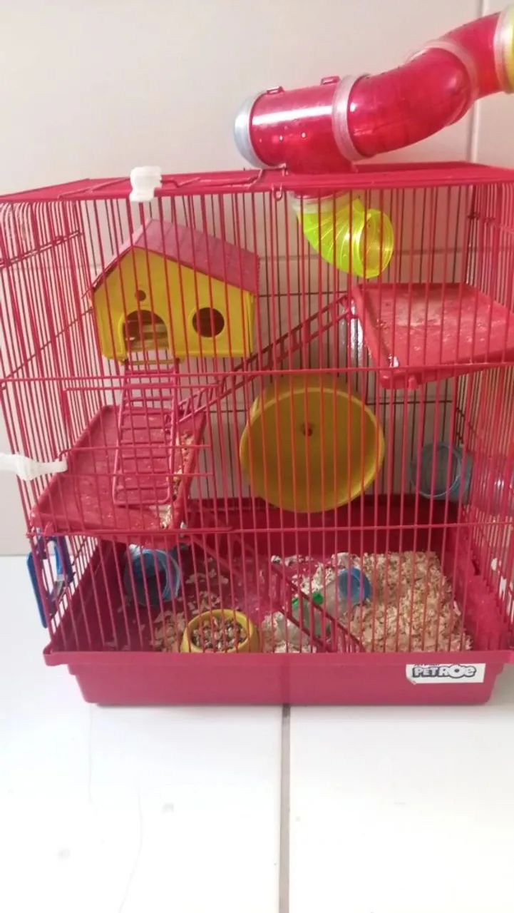 Casinha de hamster