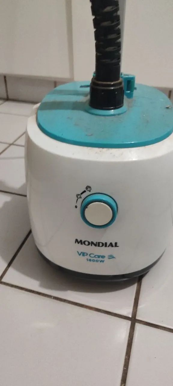 Steamer ( passador a vapor)