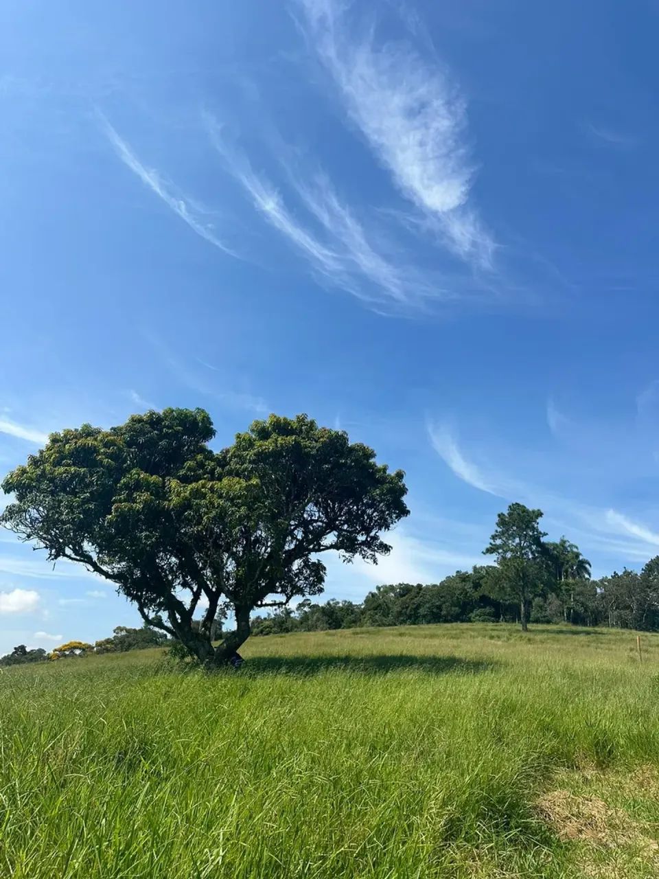 Lote 500m² em Ibiúna Vista para o Vale - Foto 3