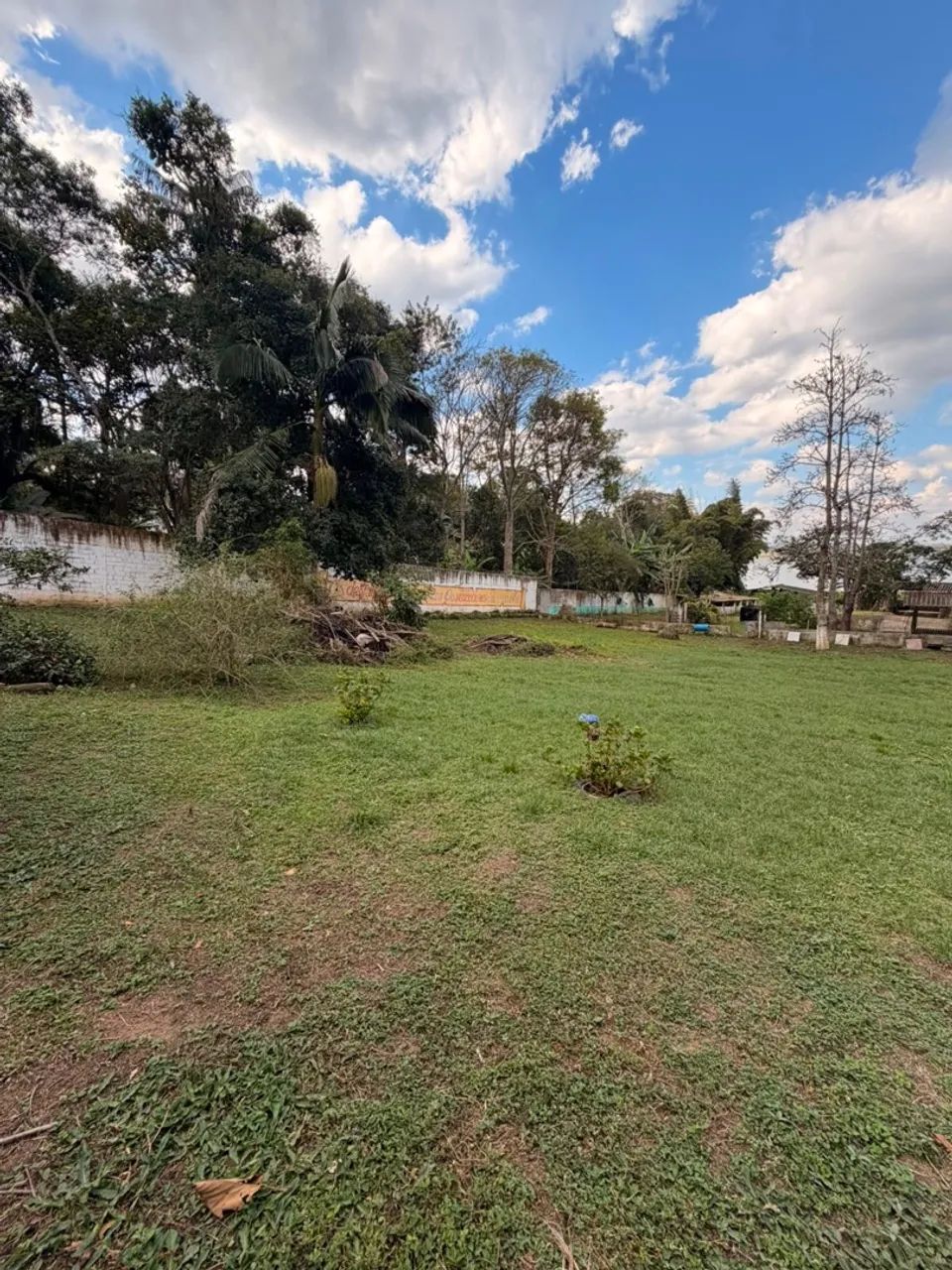 Terreno na Ilha do Bororé  - Foto 4