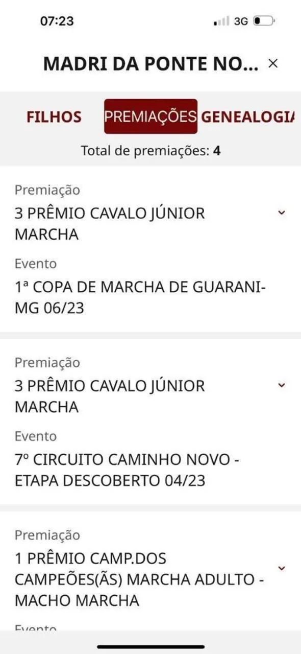 Cavalo marcha batida  - Foto 5
