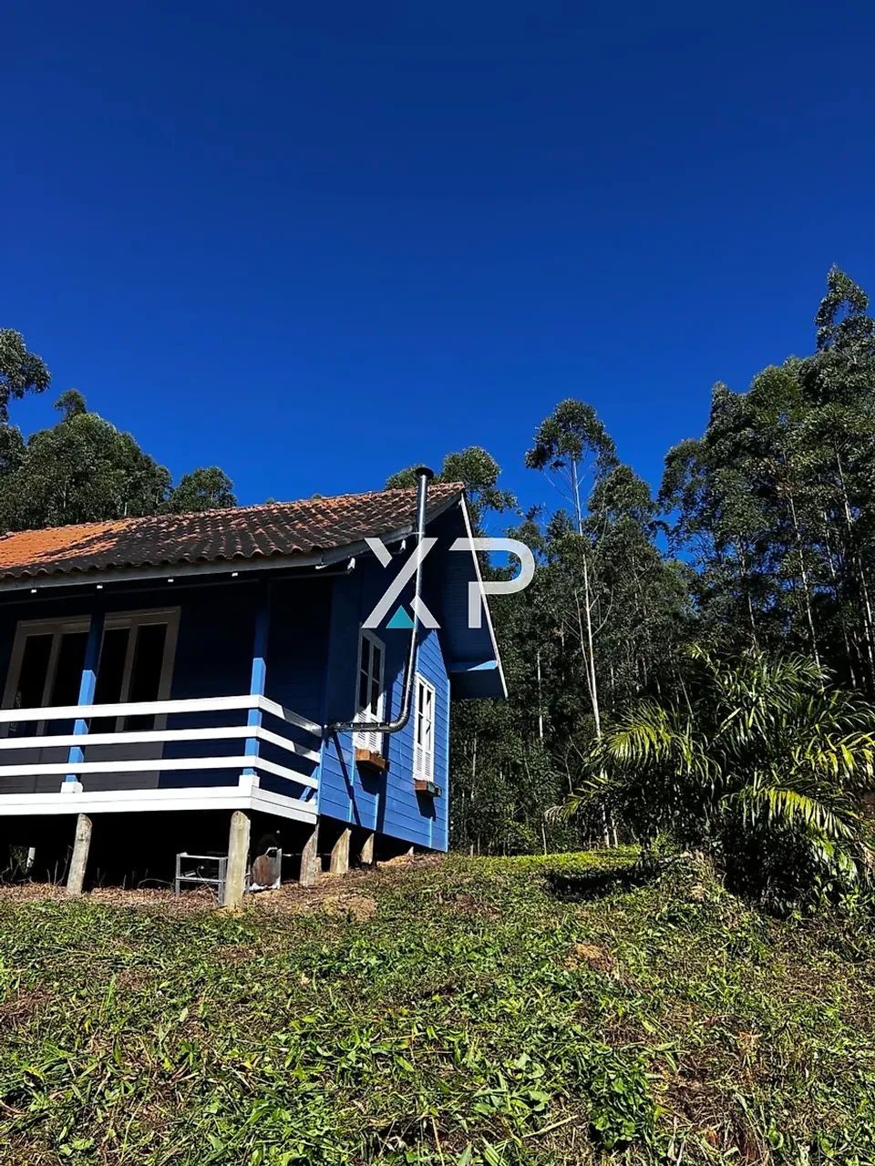 Sítio l Em Anitópolis a venda | Com Cabana - Foto 3