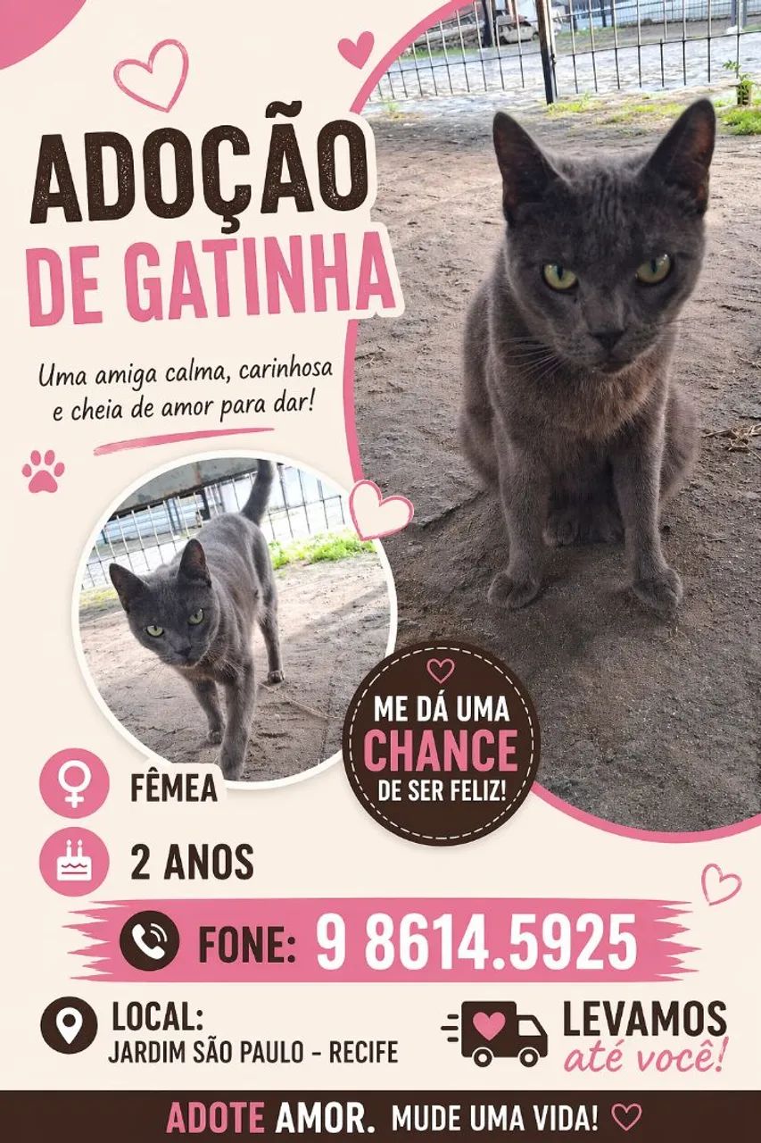 ADOÇÃO LINDOS GATINHOS - Foto 2