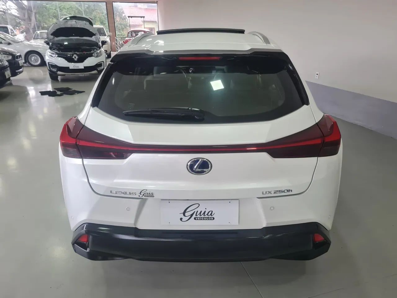 Lexus UX-250h Luxury 2.0 16V Aut.(hybrid), foto 5 de 20