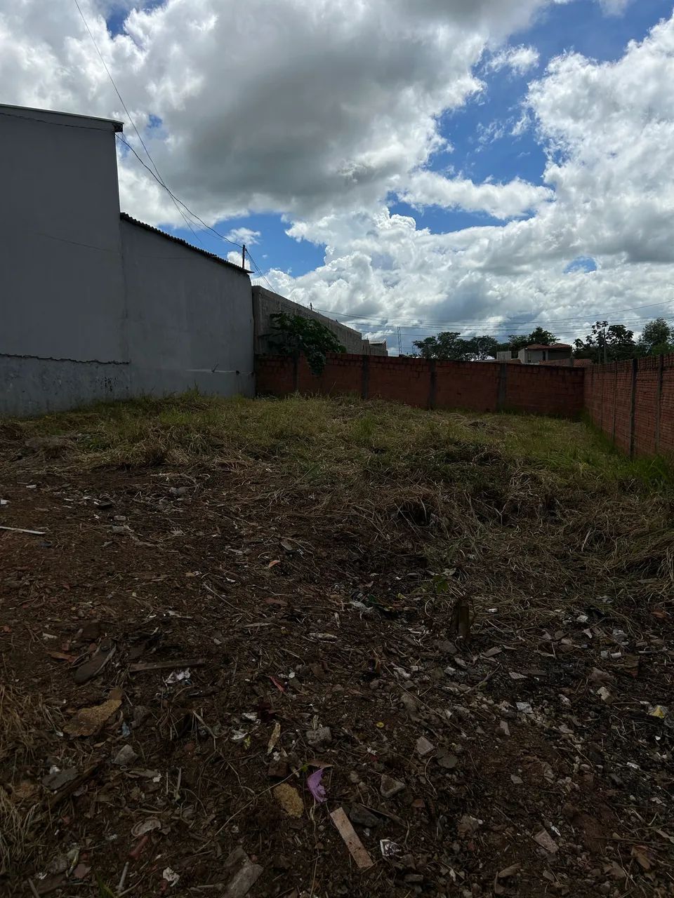 Terreno - Lote - Foto 5