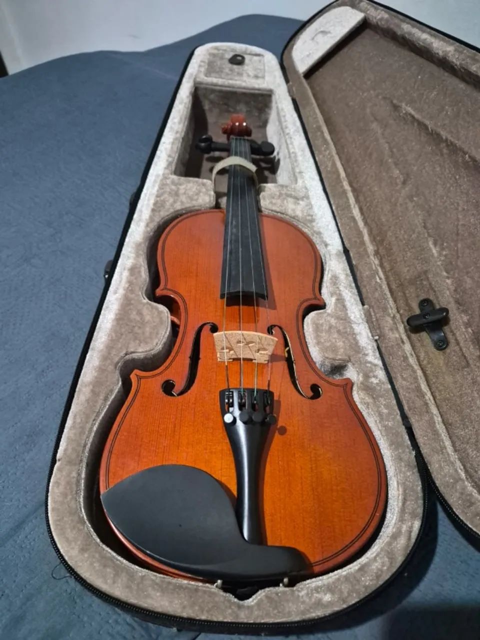 Violino Parrot 
