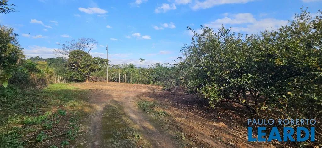 SÍTIO - VILA CAPUAVA - SP - Foto 4