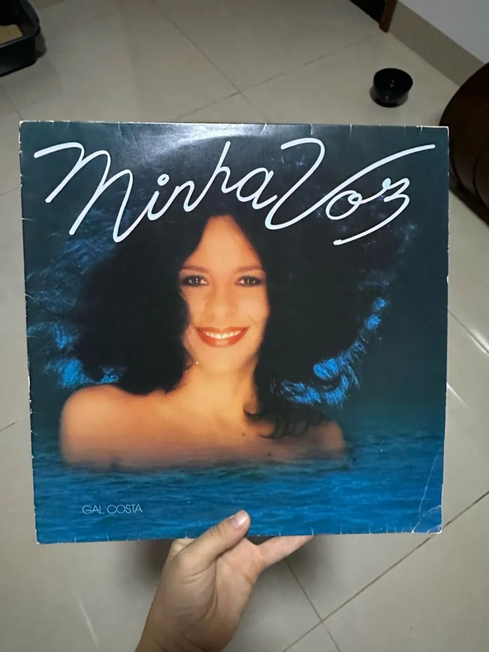 Disco de vinil Gal Costa 