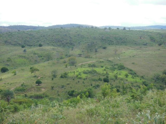 Fazenda em Mundo novo - Foto 7