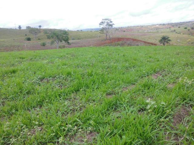 Fazenda em Mundo novo - Foto 15