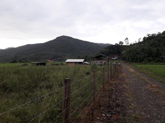 Sitio 23.000 mt² em Luiz Alves SC - Foto 12