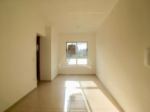 Apartamento para alugar com 2 dormitórios em Petrópolis, Passo fundo cod:12751 - Foto 6