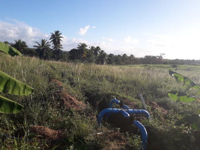 Fazenda 87,31 tarefas em Conde - Foto 9