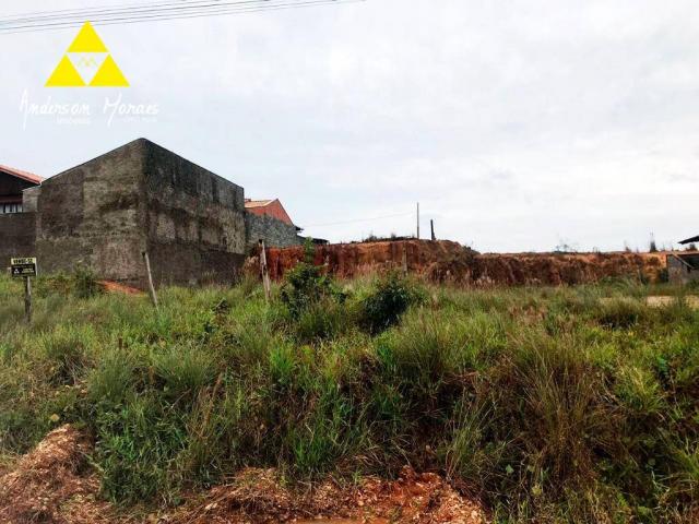Terreno à venda, 600 m² por r$ 170.000,00 - itajuba - barra velha/sc - Foto 9