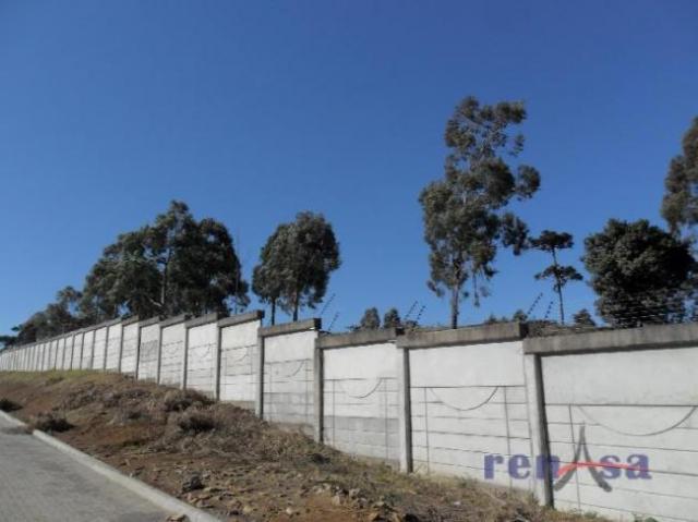 Terreno em caxias do sul