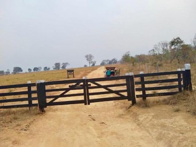 Fazenda em Paranatinga MT - Foto 4