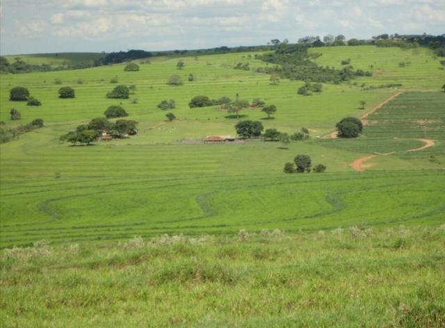 Fazenda 700 Alqueires - Região de Presidente Prudente-SP - Foto 6
