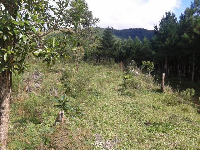 Aceita permuta - Foto 3