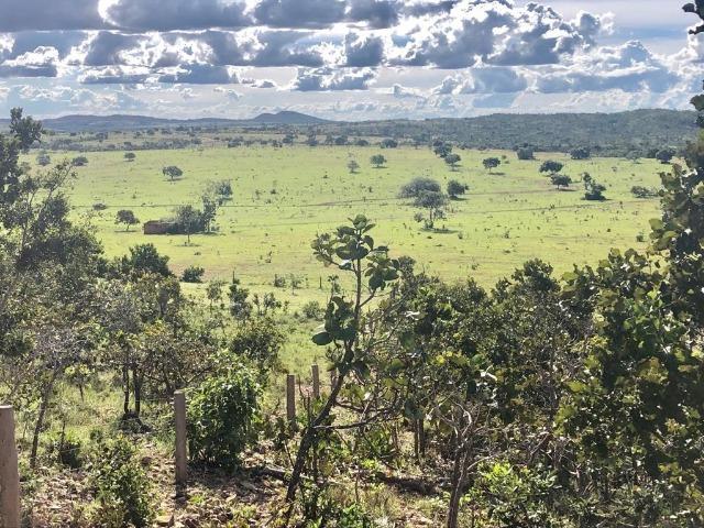 Fazenda em Paranatinga MT - Foto 11