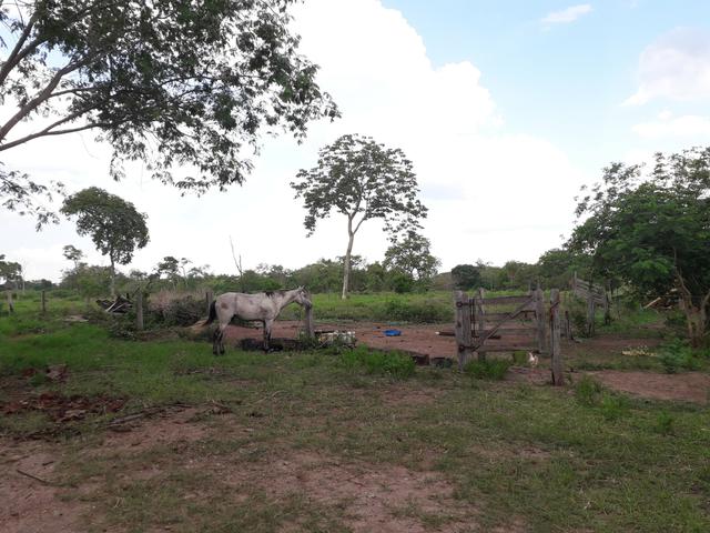 Sítio muito barato - Foto 13