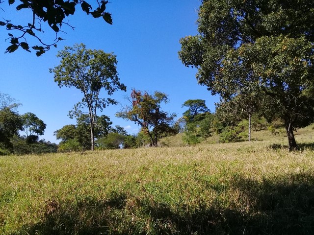 Fazenda de 343 Alqueires em Formosa Go  - Foto 5