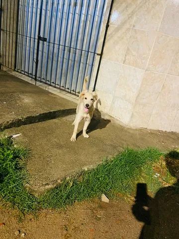 Doação  - Foto 2