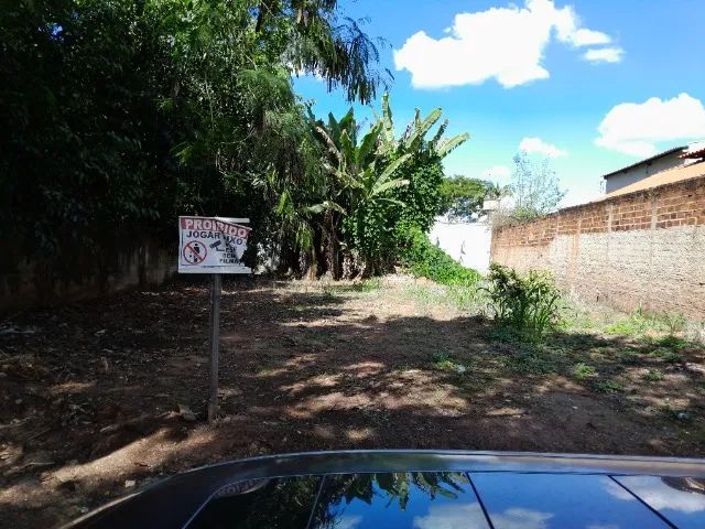 foto - Goiânia - Parque Flamboyant