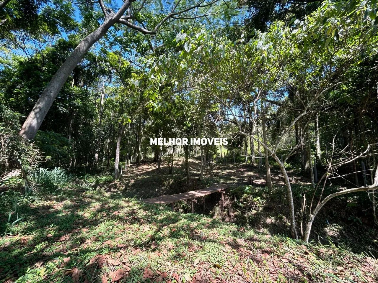 Terreno à Venda com 3.260m² - Praia do Estaleiro - Balneário Camboriú -SC - Foto 5