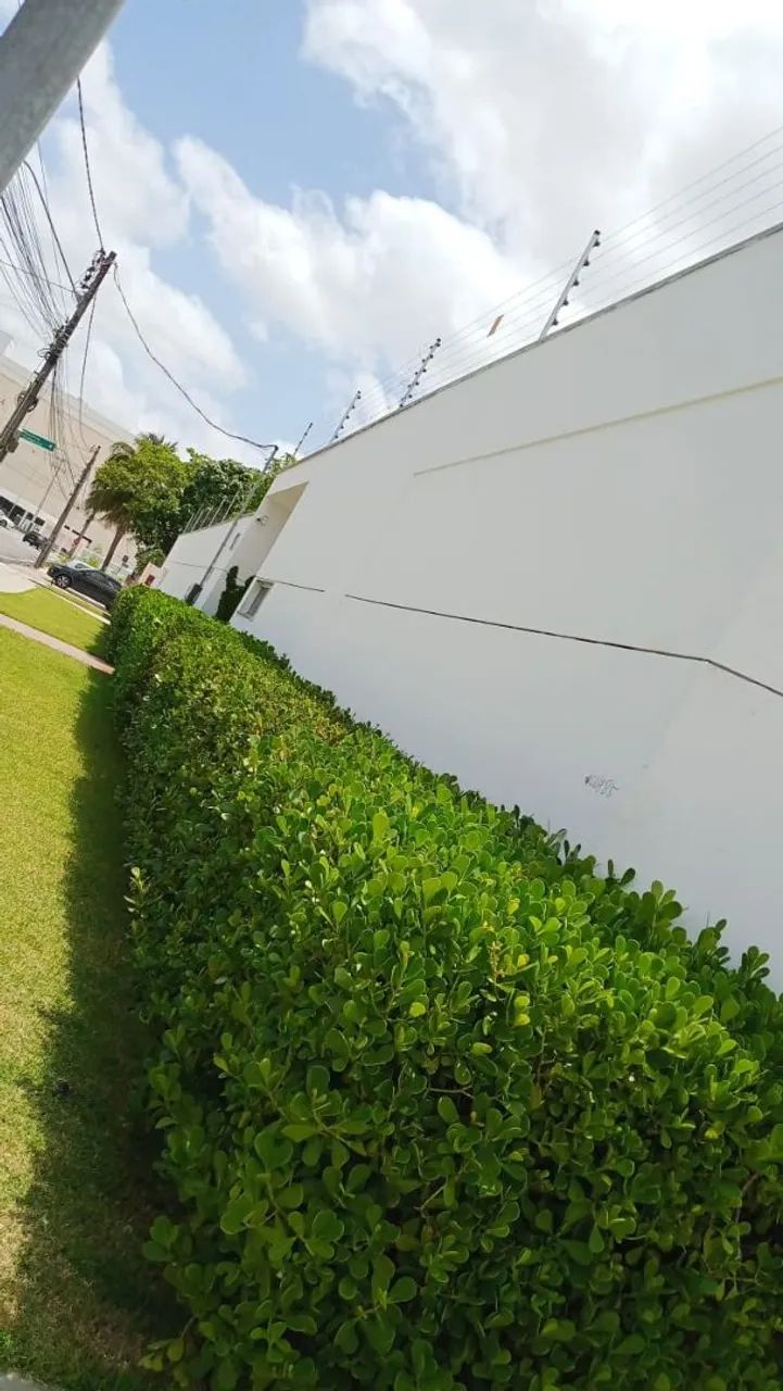 Jardinagem em geral .. - Foto 3