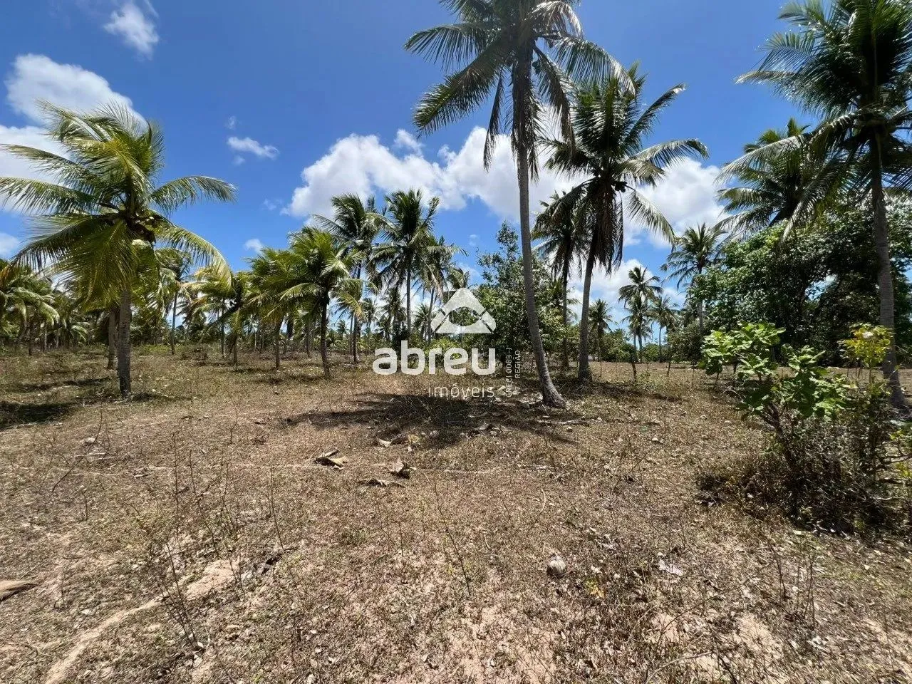 Área à Venda em Nísia Floresta - 16.128 m²