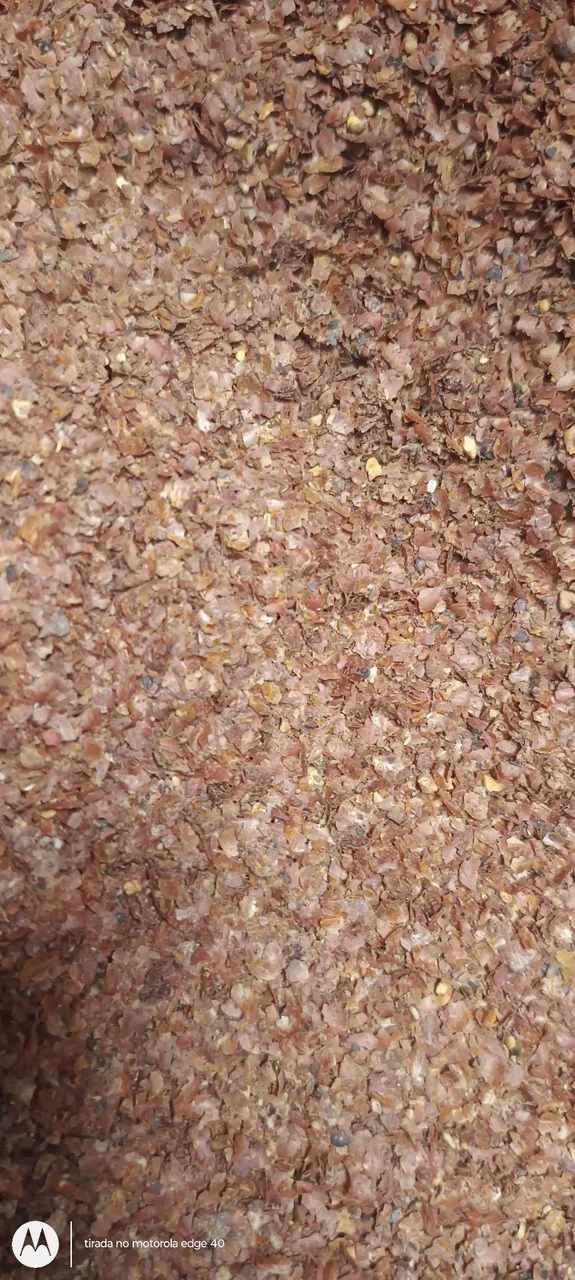 Pele amendoim para gado, adubo, porco,galinhas R$1,50kg