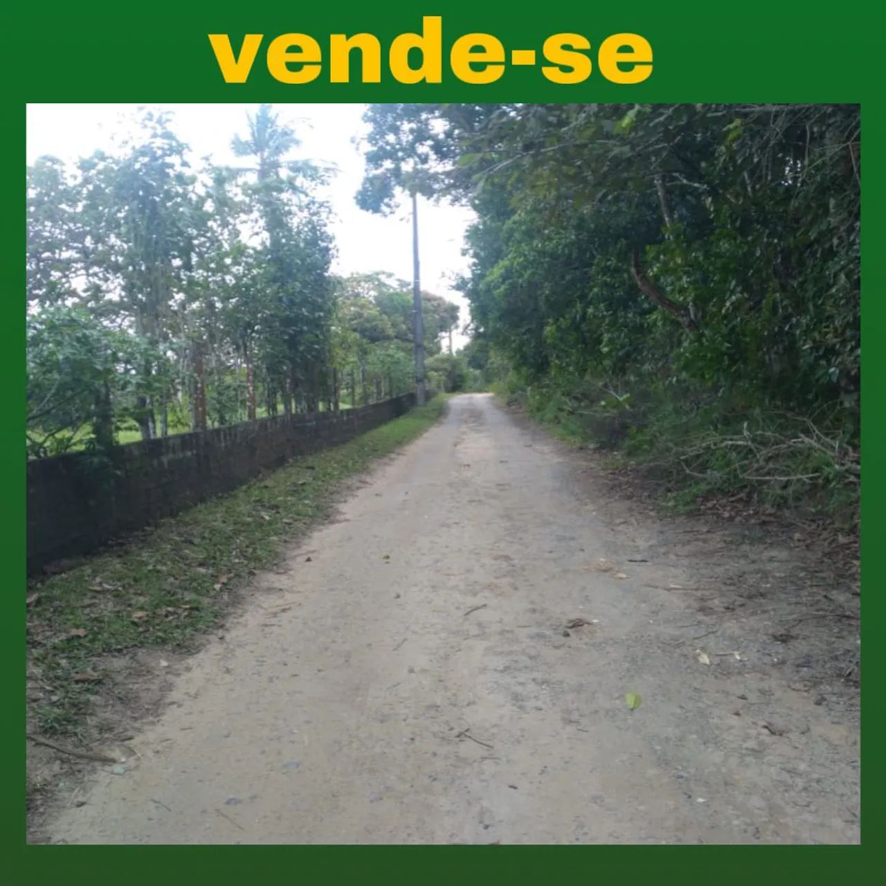 2 Terrenos de 5.000m² em Aldeia - KM 8