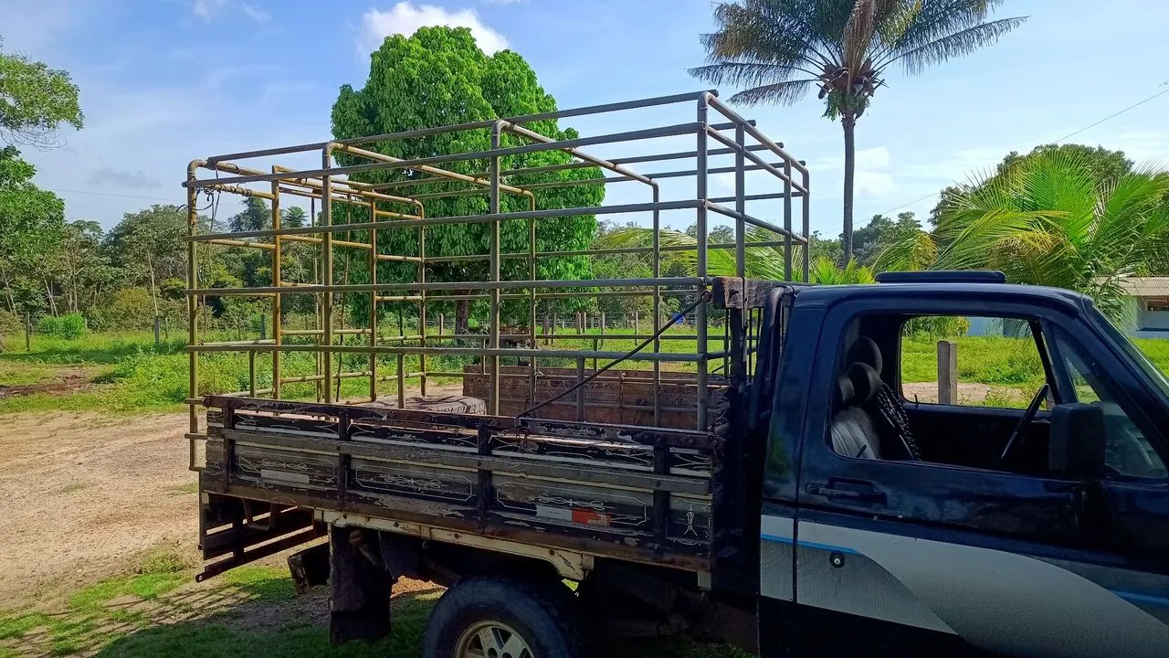 Gaiola para Transporte de Animais e caixa dgua