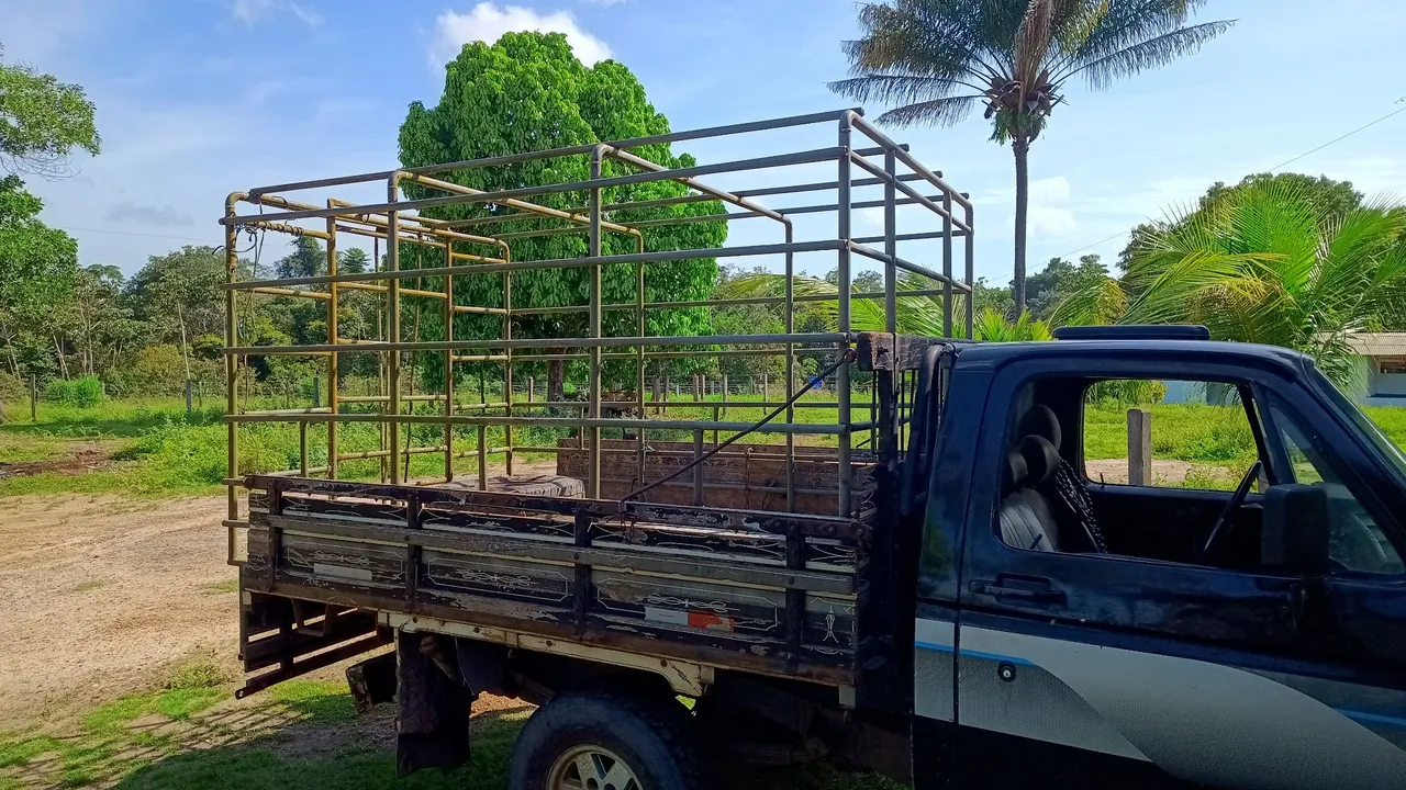 Gaiola para Transporte de Animais e caixa dgua