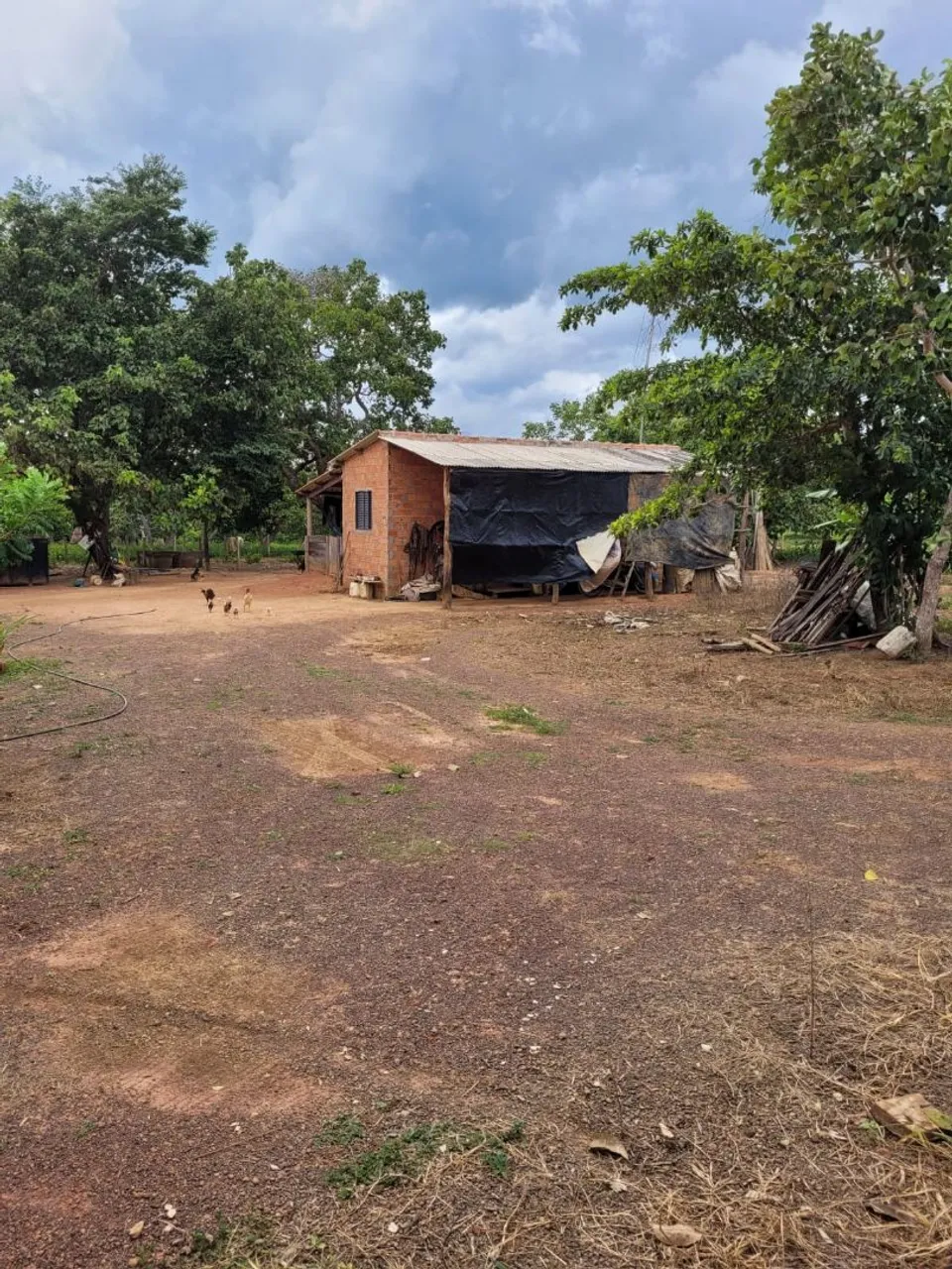 Chacara de 13 alqueires