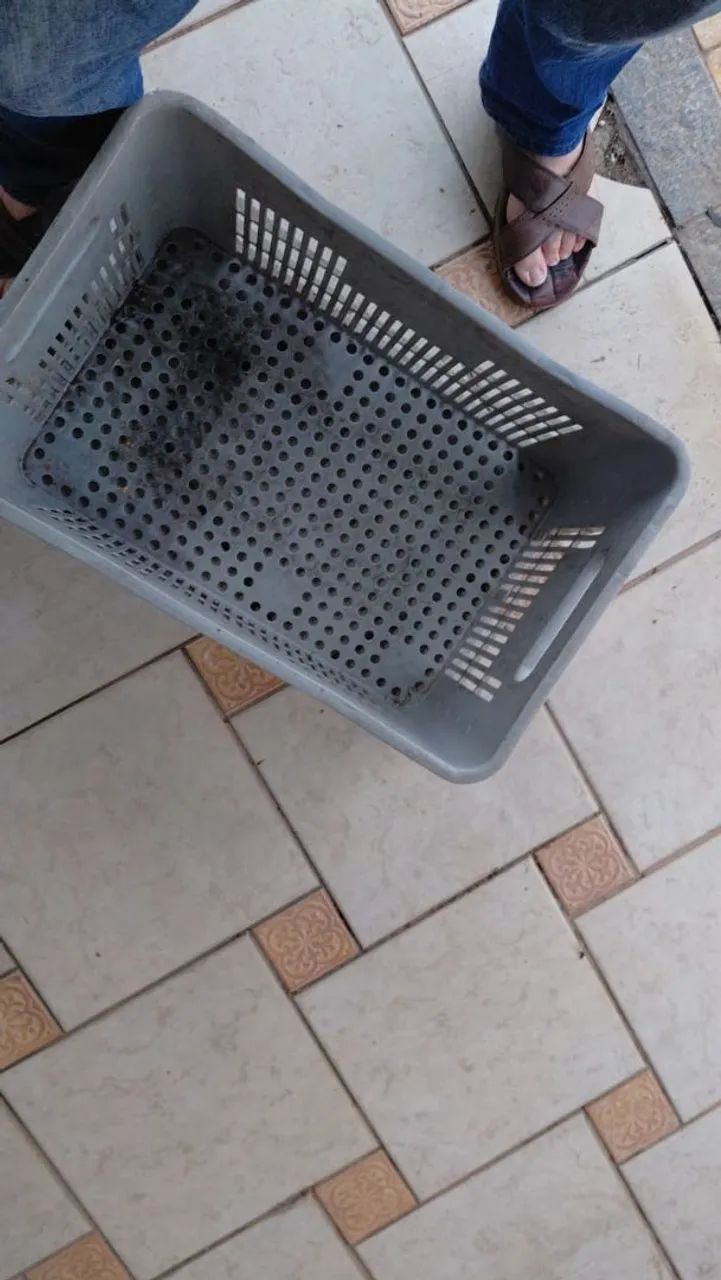 Caixas plásticas para comércio 8 unidades - Foto 3