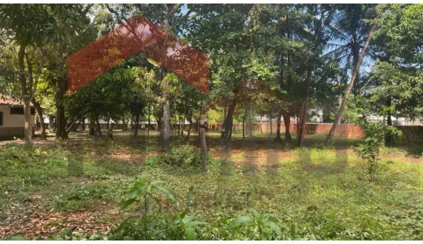 Terreno para Venda em São Luís, Turu