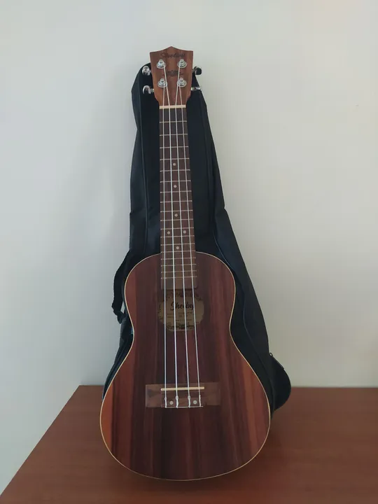 Ukulele Concert Shelby