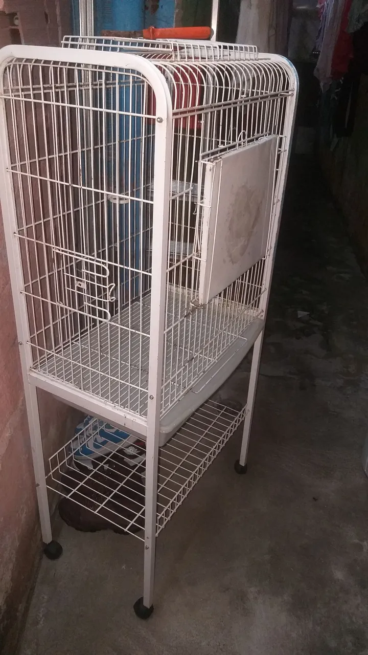 Gaiola para pássaros com rodinhas