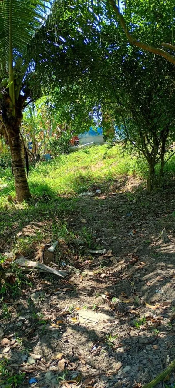 Terreno 10x20