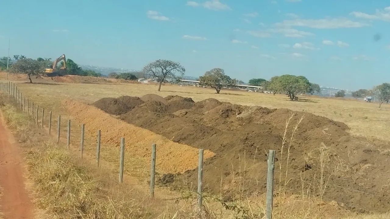 Esterco de Gado Puro Confirnado - Foto 6