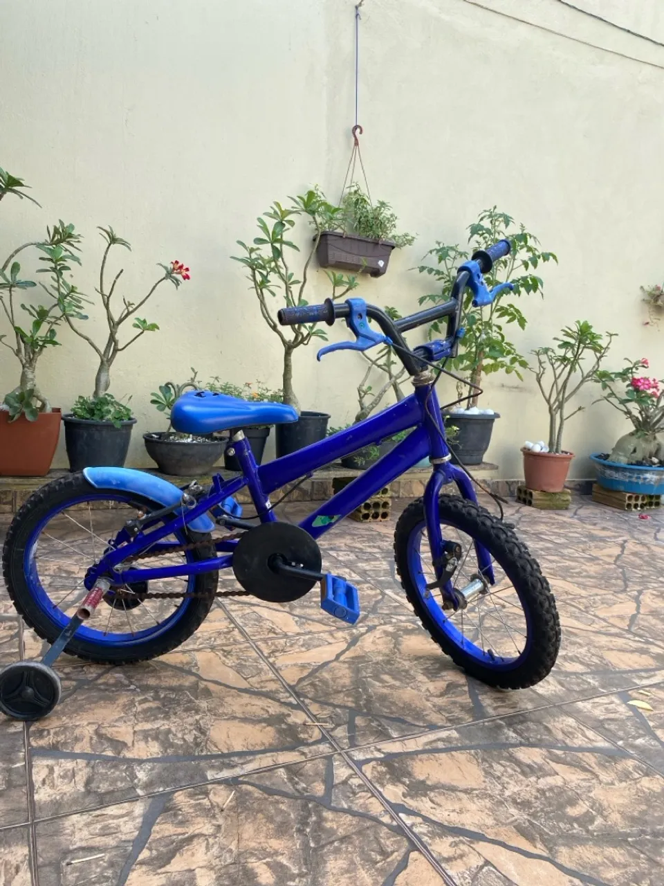 Bicicleta Infantil 