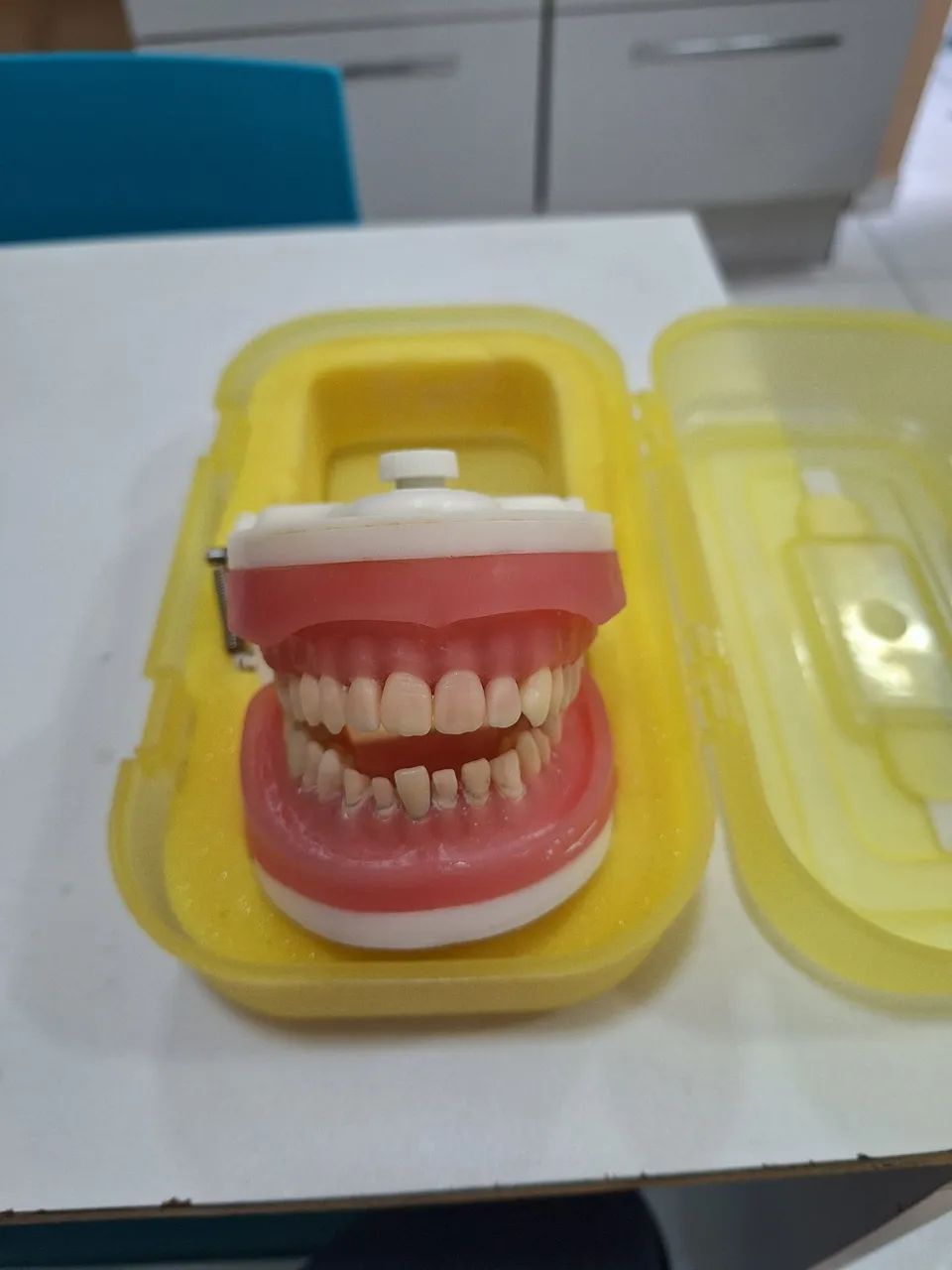Modelo Dentística - Pronew ODONTOLOGIA  - Foto 2