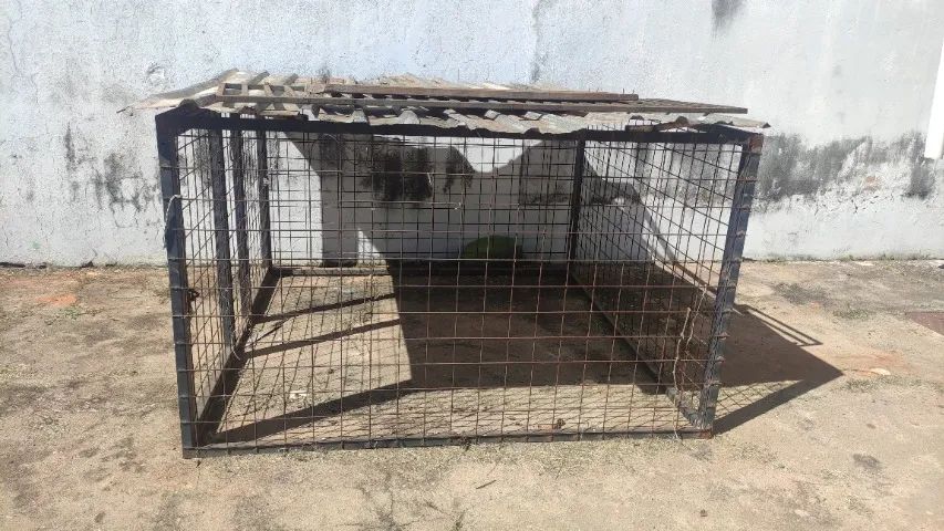 CANIL MOVEL 2X2X60 - Foto 3